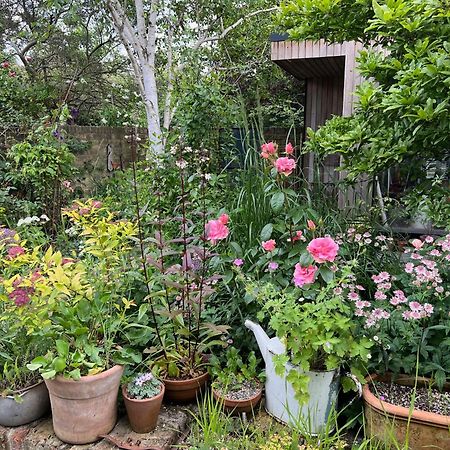 Bright And Elegant 2 Bedroom Flat, Near Notting Hill London Exteriör bild