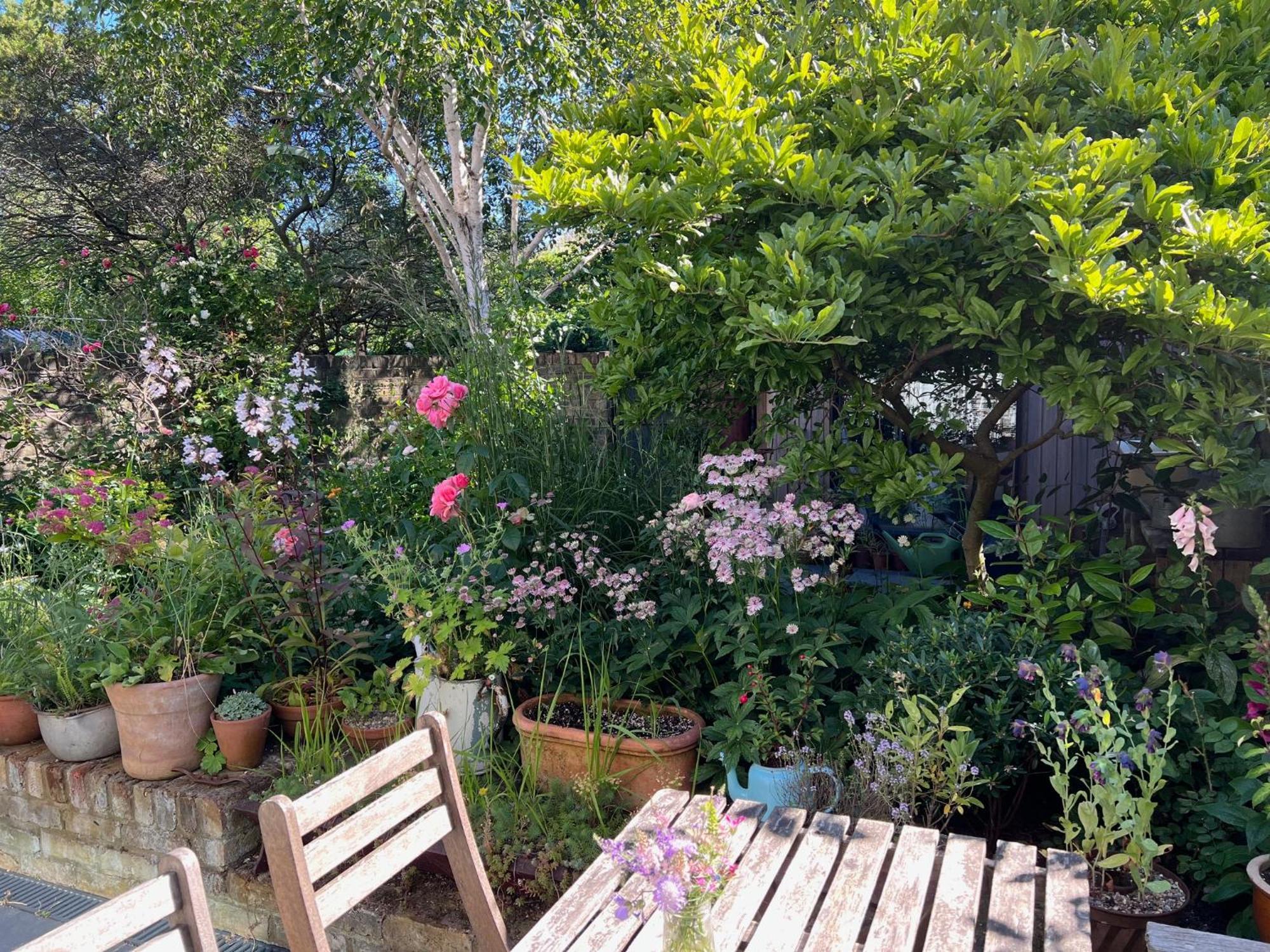 Bright And Elegant 2 Bedroom Flat, Near Notting Hill London Exteriör bild